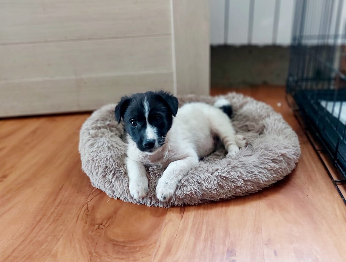 b-bAZf1vJZMnFLDW7zgbG6Lw61WMASZISFpe7Bp43ku24NMkYHq1c2ft5_v8CNofDUQUCaR1qIpJDgDXElTsOShV