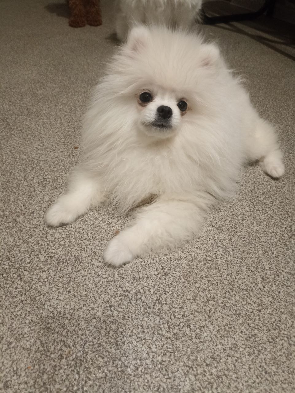 bKhTWS0DwzSZHH9ghOBoyLu4Xb7ugpVucvjQieBy_VMj_88yQ8FhkVOmjdkLufA0ChV8XmUnvAPvNSBcLpSXneOH