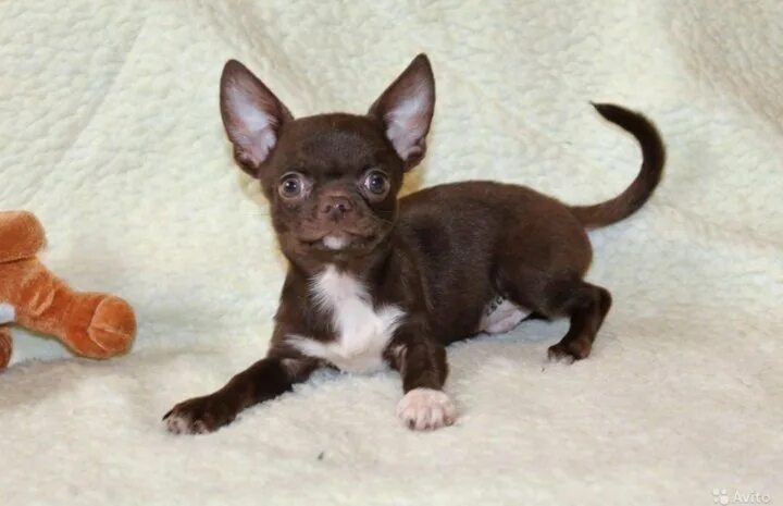 cbDDm0-8FW0JRiK2AetGuisZstlSZ56FrFnljT4b-iNWVVZrfUsb7tLihpxO8Wdg75zS88jNkXo3jbBXmWrWx5Kd