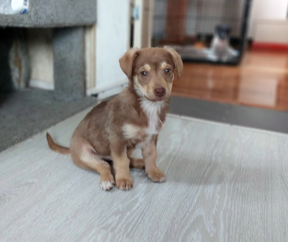 iBbs7qLpMqcxOYA79AnRXL0ImCN7FRYwnBoVyO3tJsU1wH0sYxOamoTTqOUjJ9GWVpZHO_-mqc2yJhoUS8jGNKee-1