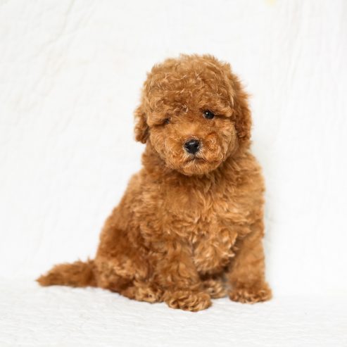 image-01-09-20-01-48-5