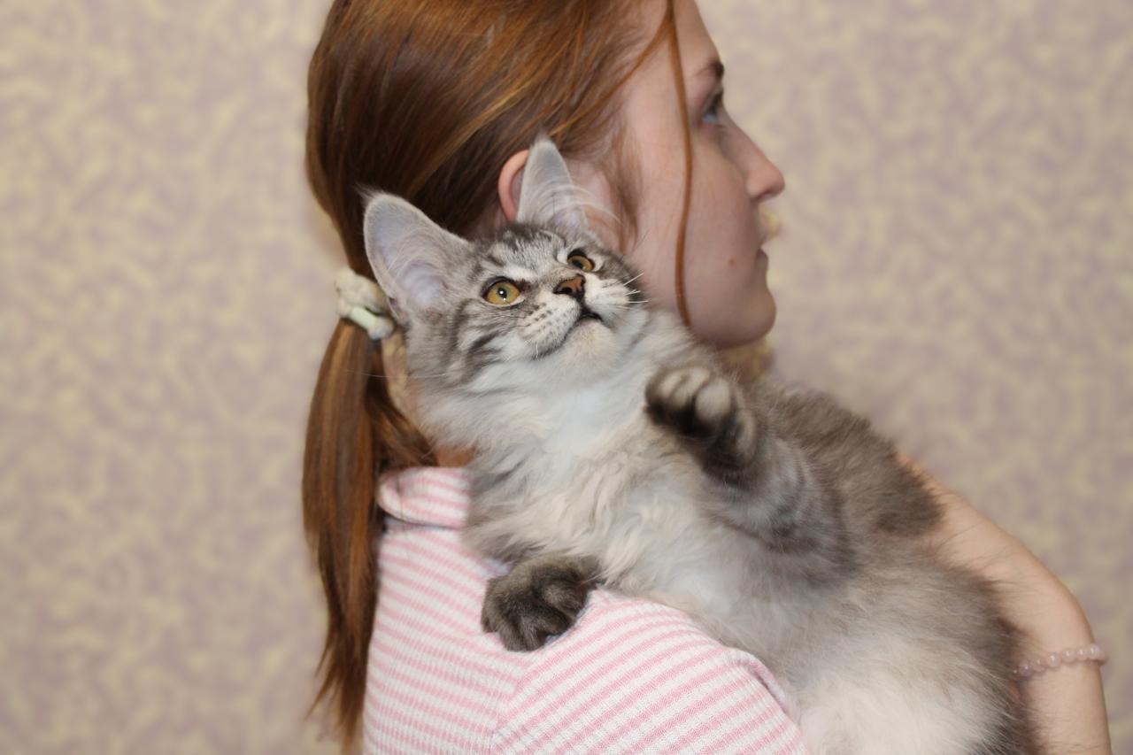 image-08-11-25-01-27-16