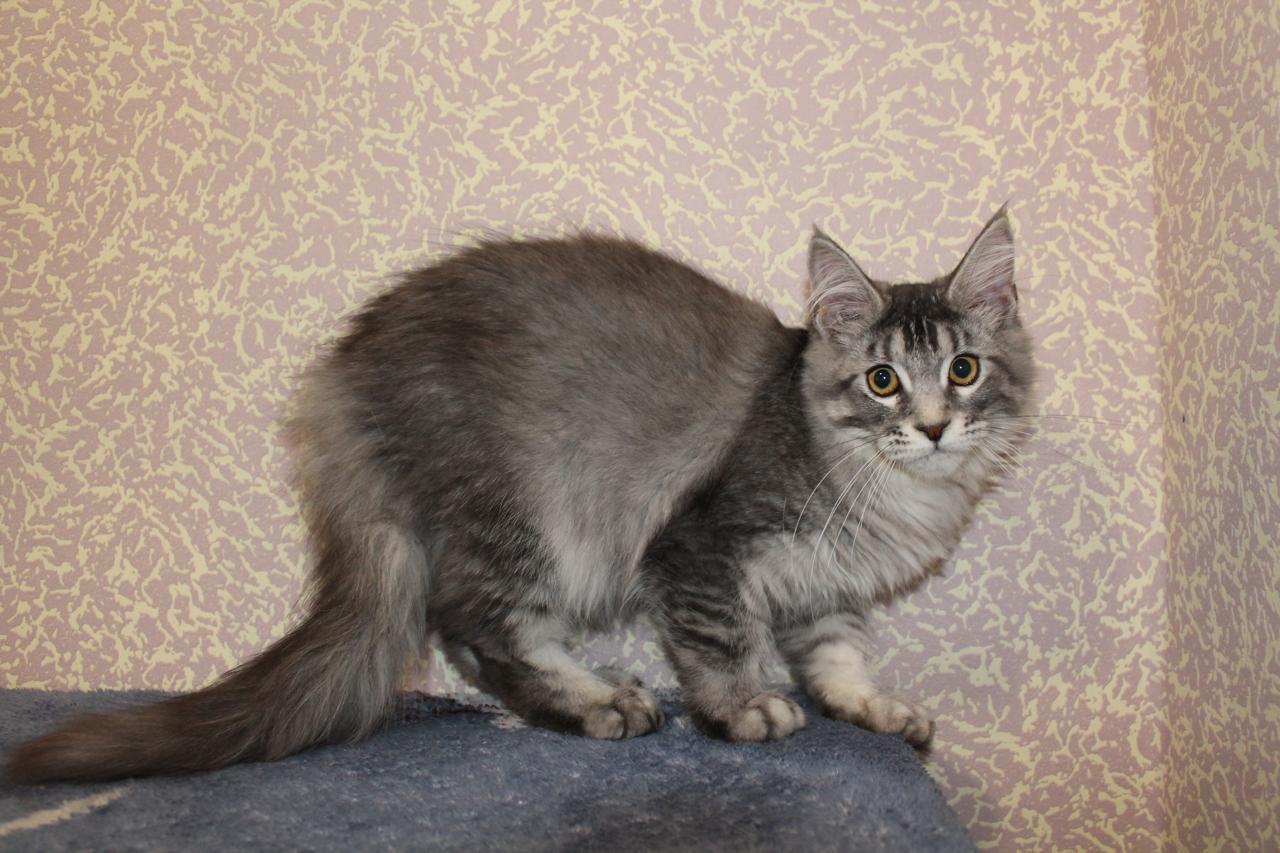 image-08-11-25-01-27-21