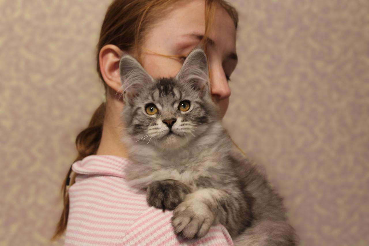 image-08-11-25-01-27-22