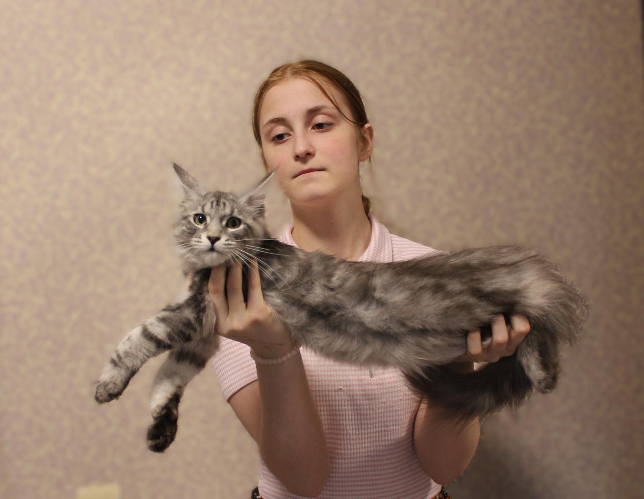 image-08-11-25-01-27-64