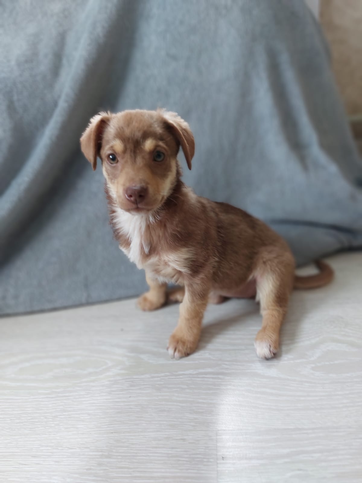 lw0a1sHxBHM-YZIEm7FmIvZKR8DKYbgqM-3TSOYj_bGbInLmN2KbJO-AXm3hBrixW-Ynk_JZ8kEEKwnOS6_V7yd-1