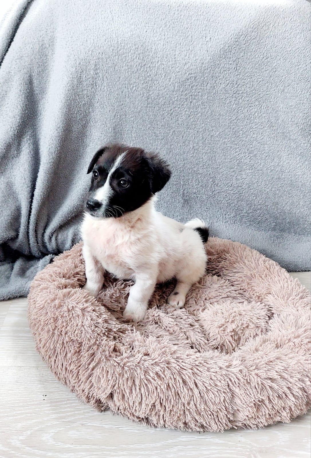 o9SOltPeeSNV7C5Cd9FigYdmm-lFhNimtYzsoCFur08Rhj8OOw0hgvhs65OUidRKvRQTqOO5FnICXYCiuHnQaBqN