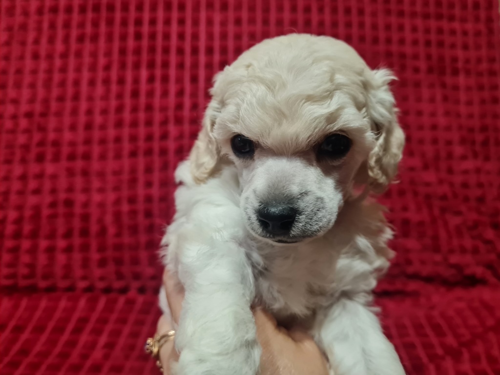 -ПОРТРЕТИК-3