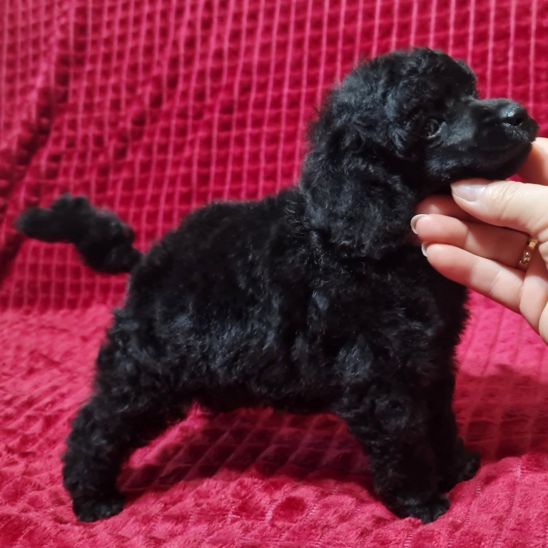 -мальчик-стойка-2