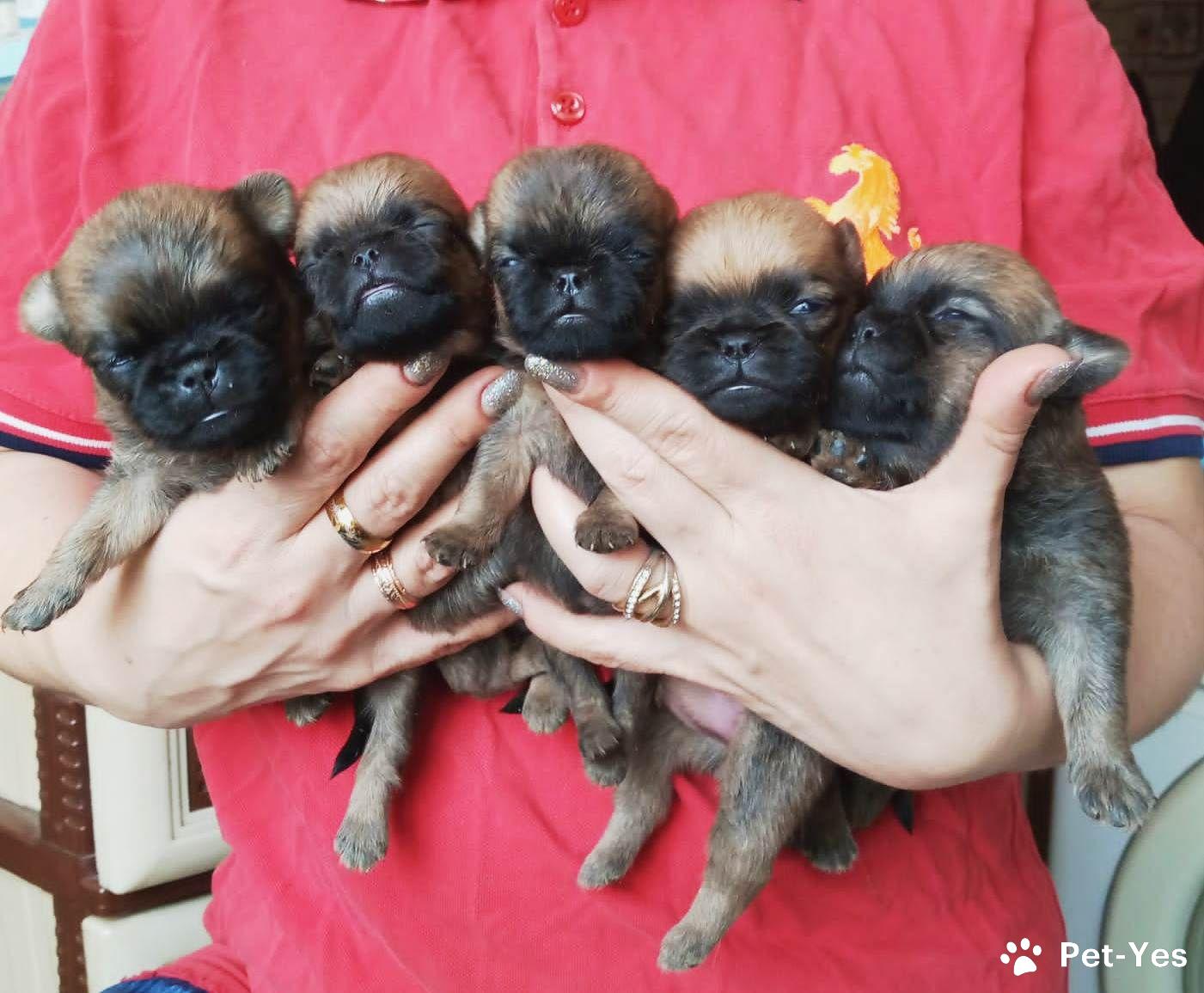 0195a3fb-f9f6-78aa-9e76-ee1dc62564b0