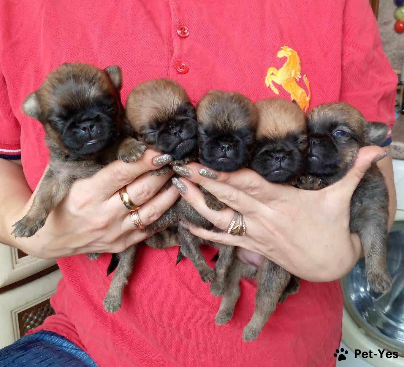 0195a3fc-4223-7e65-be5d-b1549d2cbbe9