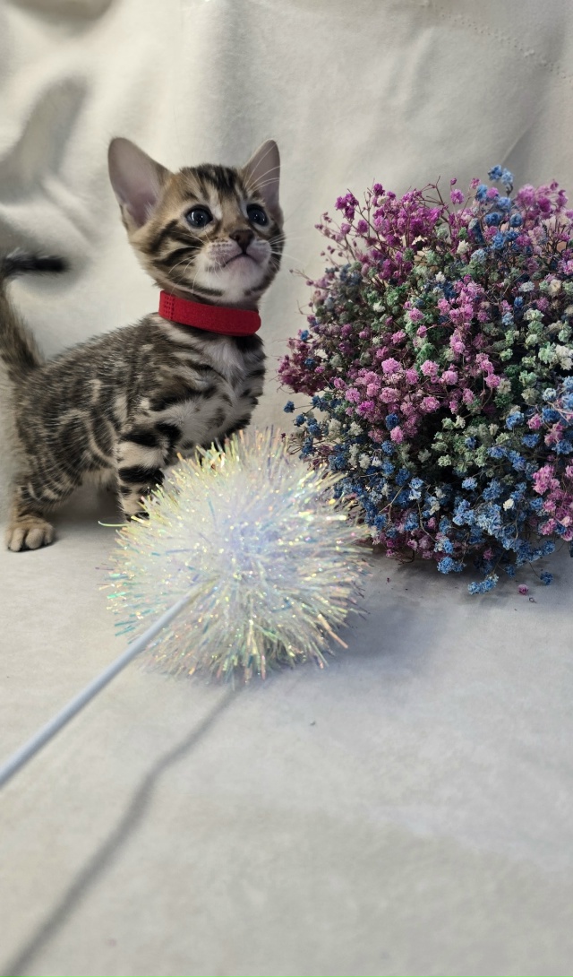 0RlL15IPtGVtElzMaaIzmHrmCT17ZOnB2ngzsGdgw9q_UHADvTDOUc48MQUd5fohVjfZWLeRYQBwaS1Gn7o21kzU