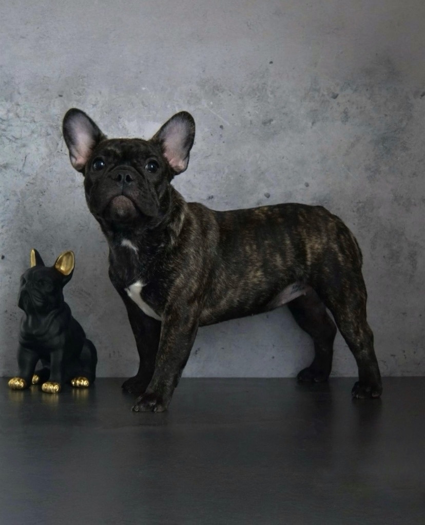 1aGOvXMDTzX4ENUv_5vo-YIkDWd3IGlbSINjpGayM22xjfsmUTJ2pCU3e-PVfBvEEhkJ7S2zchGsegD5MRjzfYXS