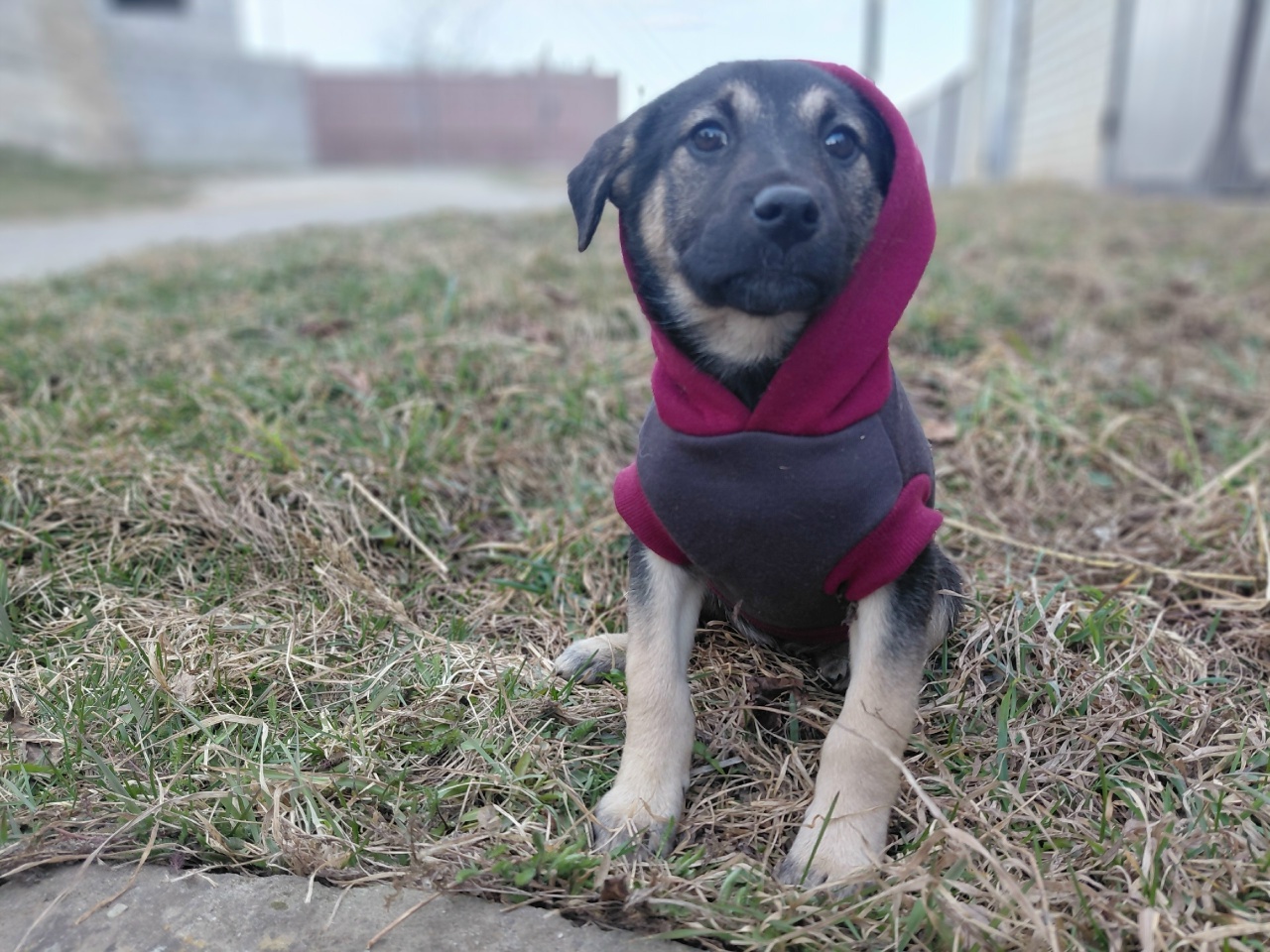 2Wnjjyy9lgXBofUs79ivoROA1Ka8Ql13EYl2ahlOQE6TKp_QtG1VqHljURDOOh1VlRYaeoOO6e_D7XaRZvjY571M