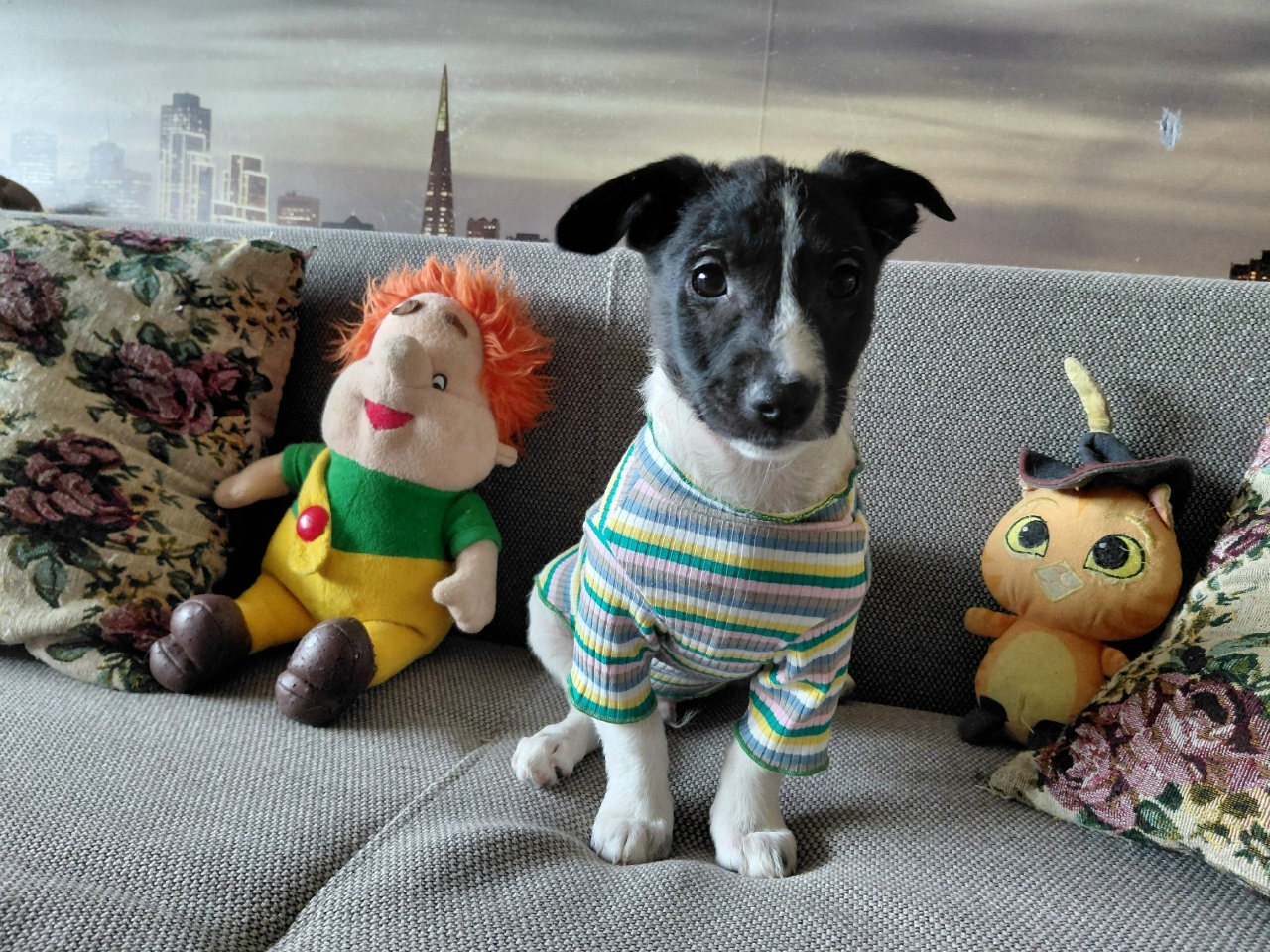 3fhRIzJf0b7OICMDe-7Gbh_wesBNM9t99eKUYFOahIetHSsygC88uxDeWX4Unvj0AwwOHmPUZZlrkuGCGbm9bseN