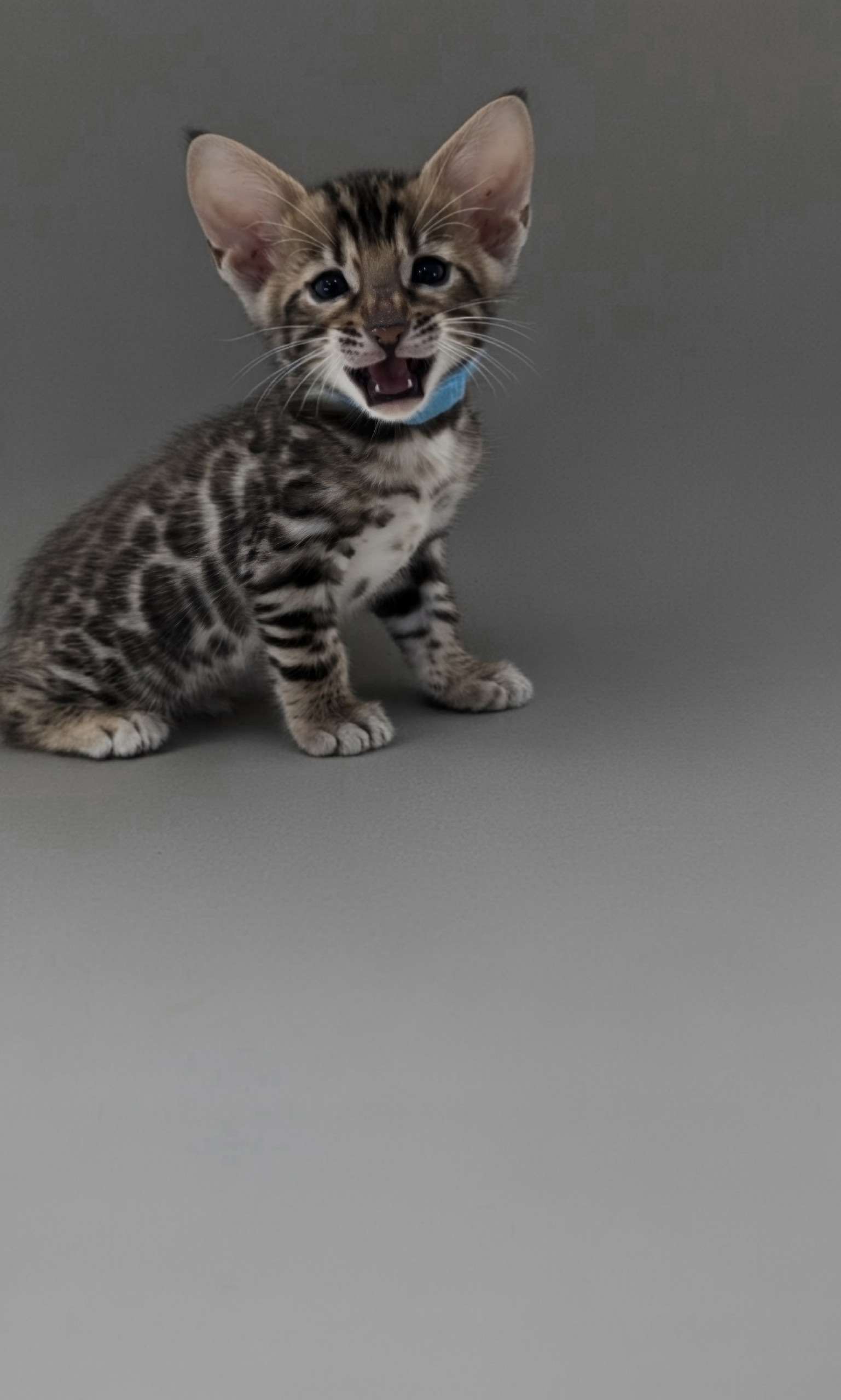 5IPIDsZwNFeklHbXY4R7I4XMeHQ3ugwbdjVMll2Aw2g70RANEVL0yNBHPY6bteMNoY_U4R0uIeR4tn8ScjGSw8mT