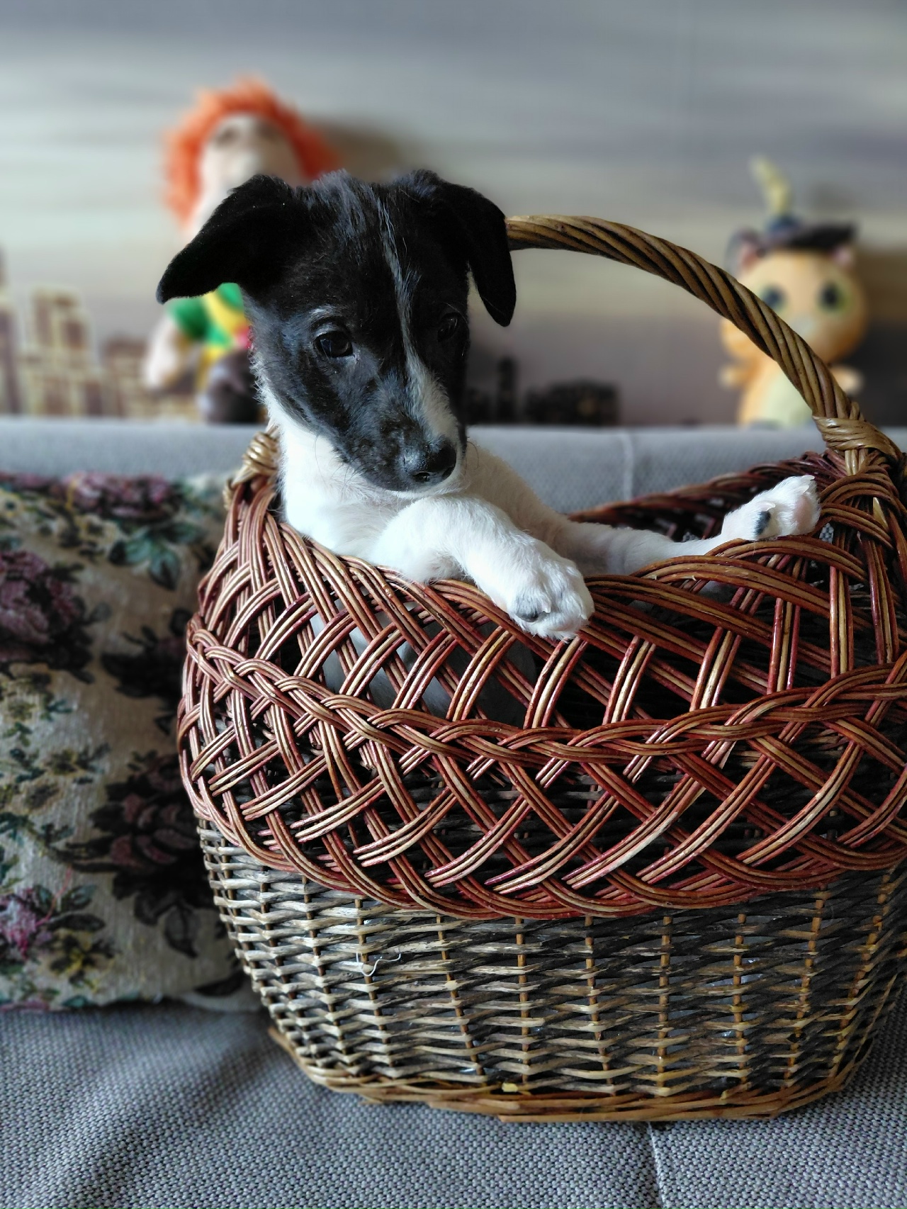 7b7syh__4F6OX8O24MjenZe83hwlxu1ggZpTO30EEelKKeZMeonYe7JsXawePC83orKQSSleiGCrx0yv_zSBe03c