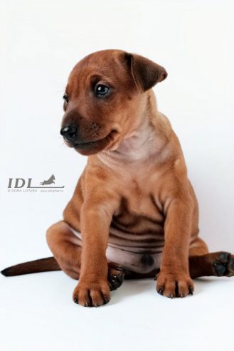 AirBrush_20250523105540