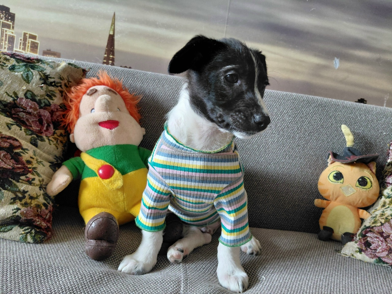 C9AQ8vE_2nqjTCb91P0SgkoXvjumFDT2Jl__w_Xe1wIJ2lk-5M2QbFVe8sKkNRQ0bif5N9MmxNduMmbyPp2GRdZO