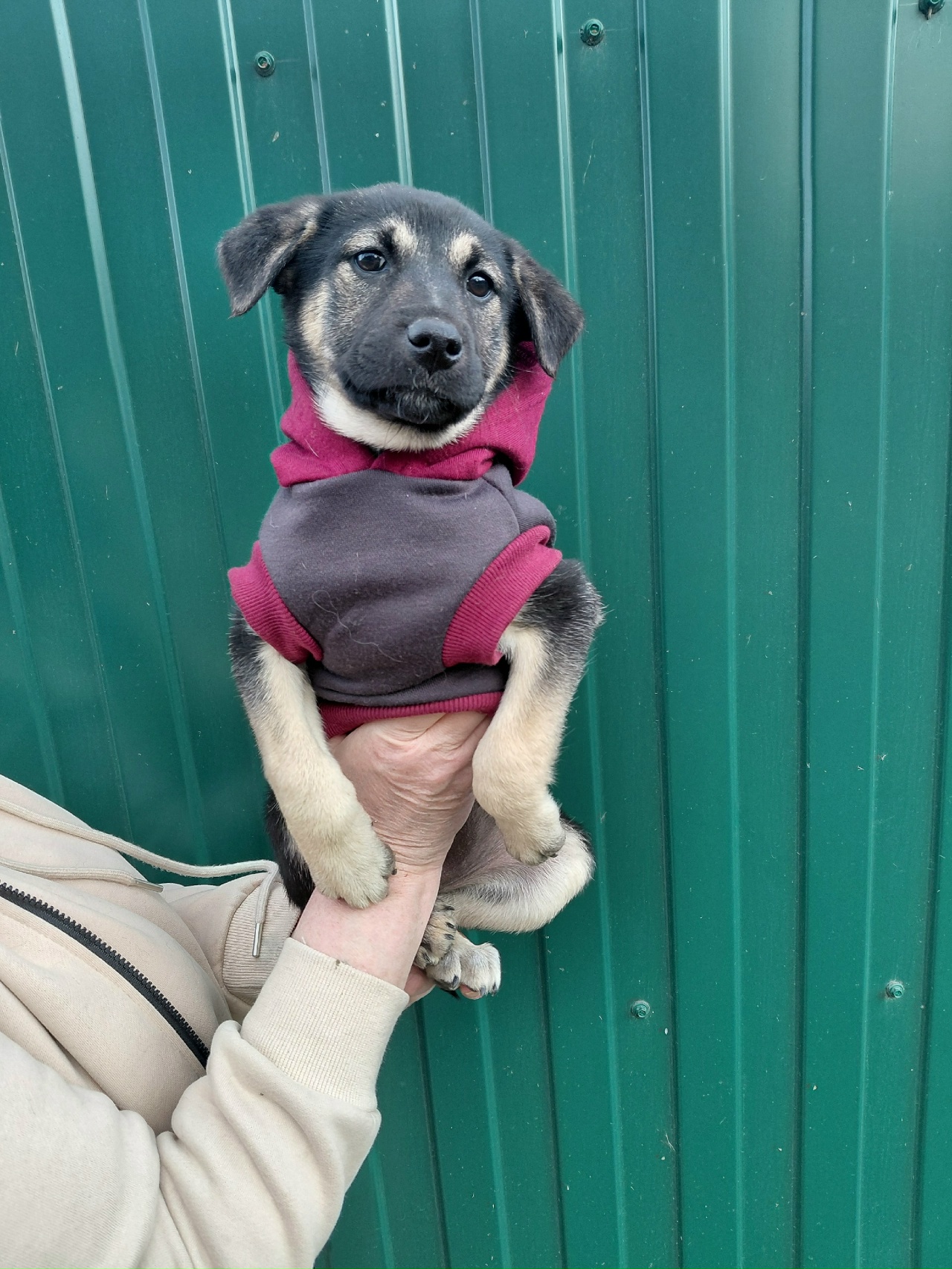 D2aE6b8zpaEpBxoKMzQEbpabeKj4CVYxCKpLIBxNKH46b3_k9uTjCcvCcuAn8NIu_G0hOLeRzU2sWTOAyZgYFtBB