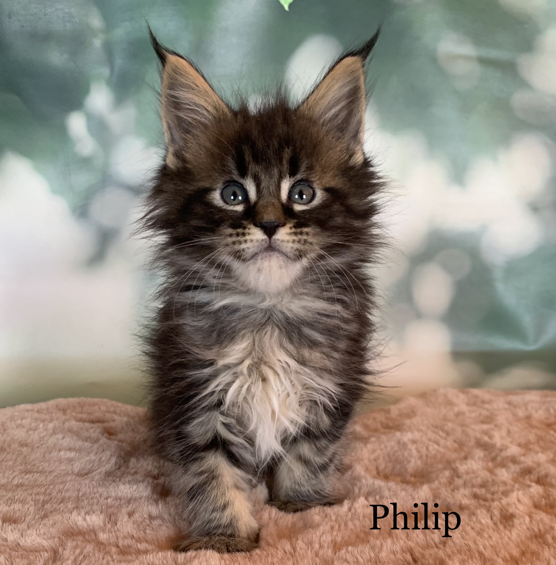 DEABBD08-22EB-4932-9BCE-25A125DB2A4E