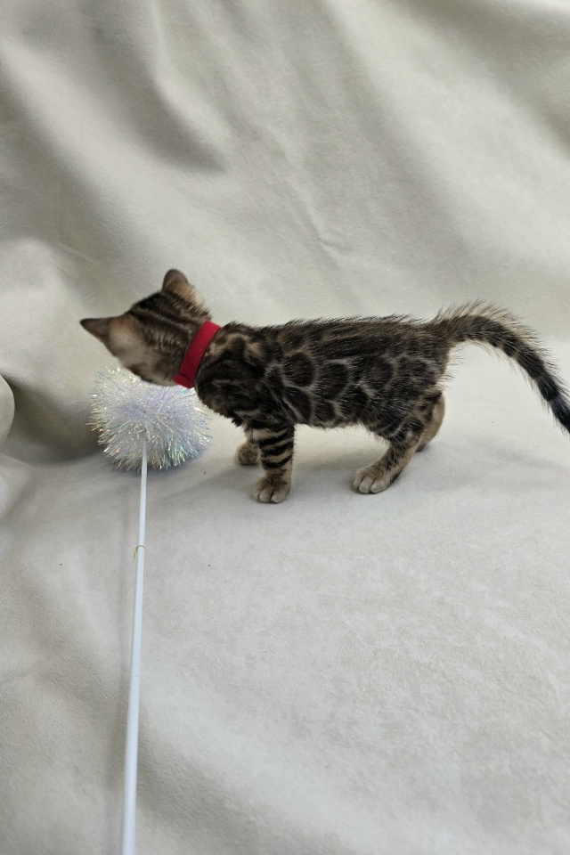 HJAX-ZB0O67S8dFSM1532ZC7KVDDIDfnvHx8NoQfQz4DyP3IuUyzPmhGavUNgsPftHdnfrHszit1wvxNqTpwv9dN