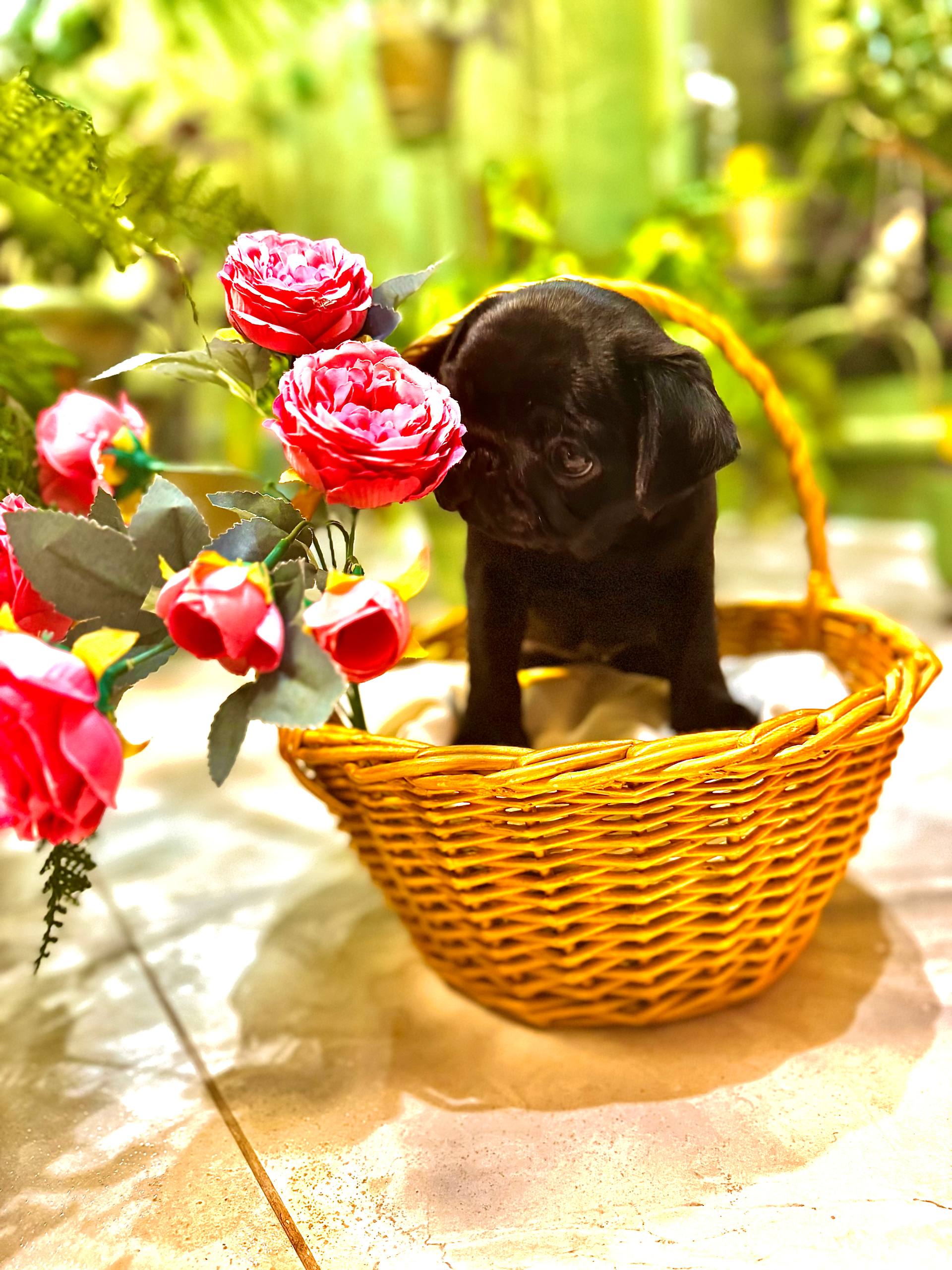 IMG_20260213_210002_615