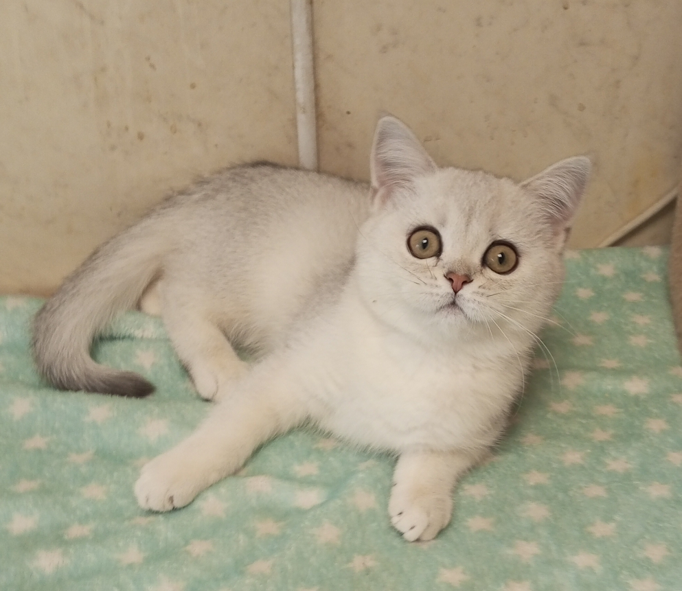 IMG_20260221_102701_989