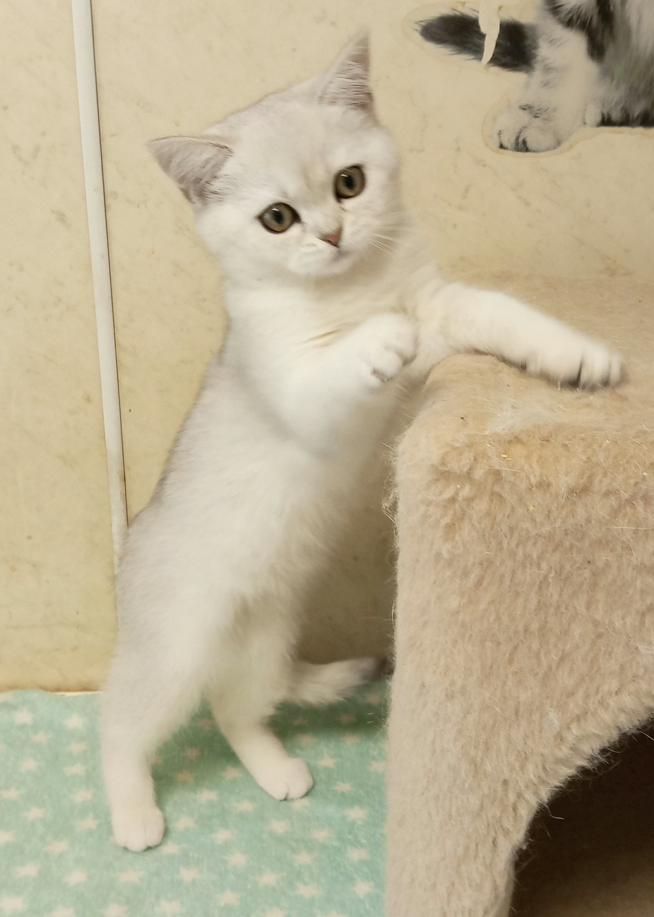 IMG_20260221_103056_879