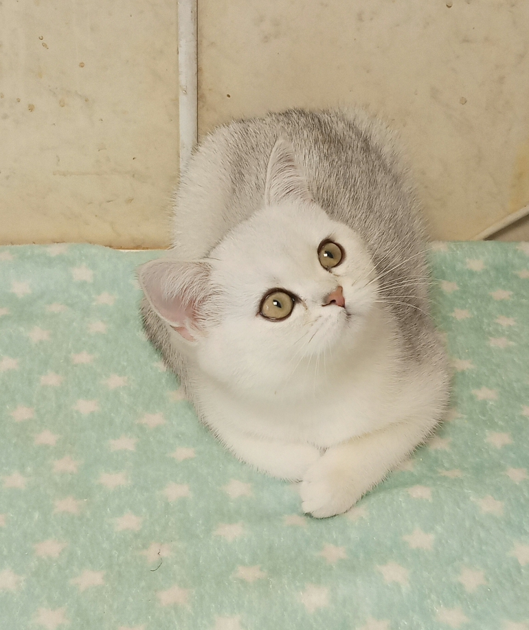 IMG_20260221_103155_957