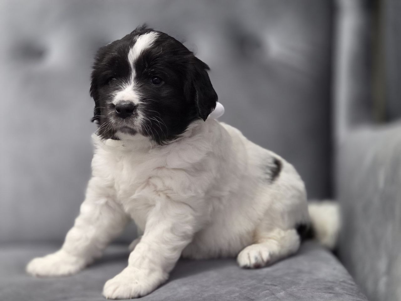 IMG_20260305_103639_581