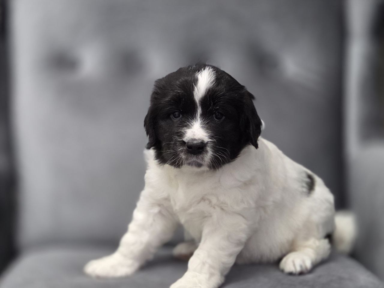 IMG_20260305_103639_742