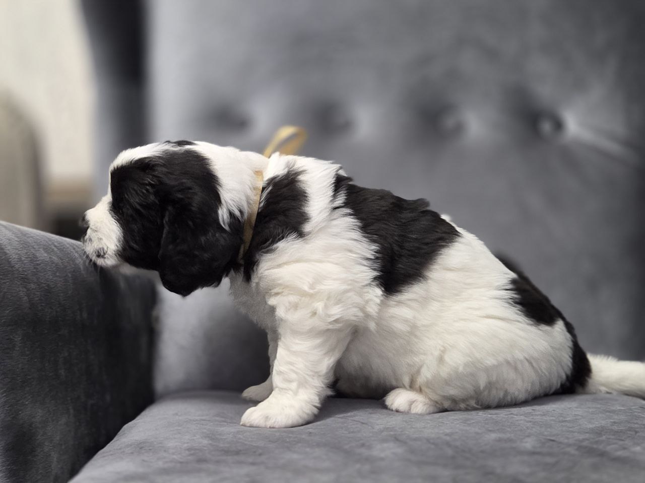 IMG_20260305_103650_711