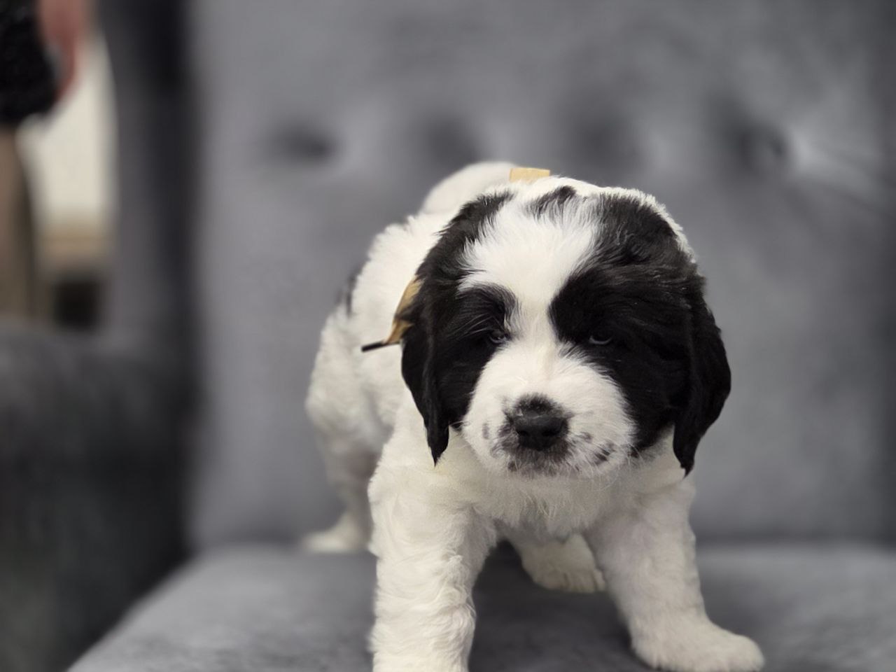 IMG_20260305_103650_892