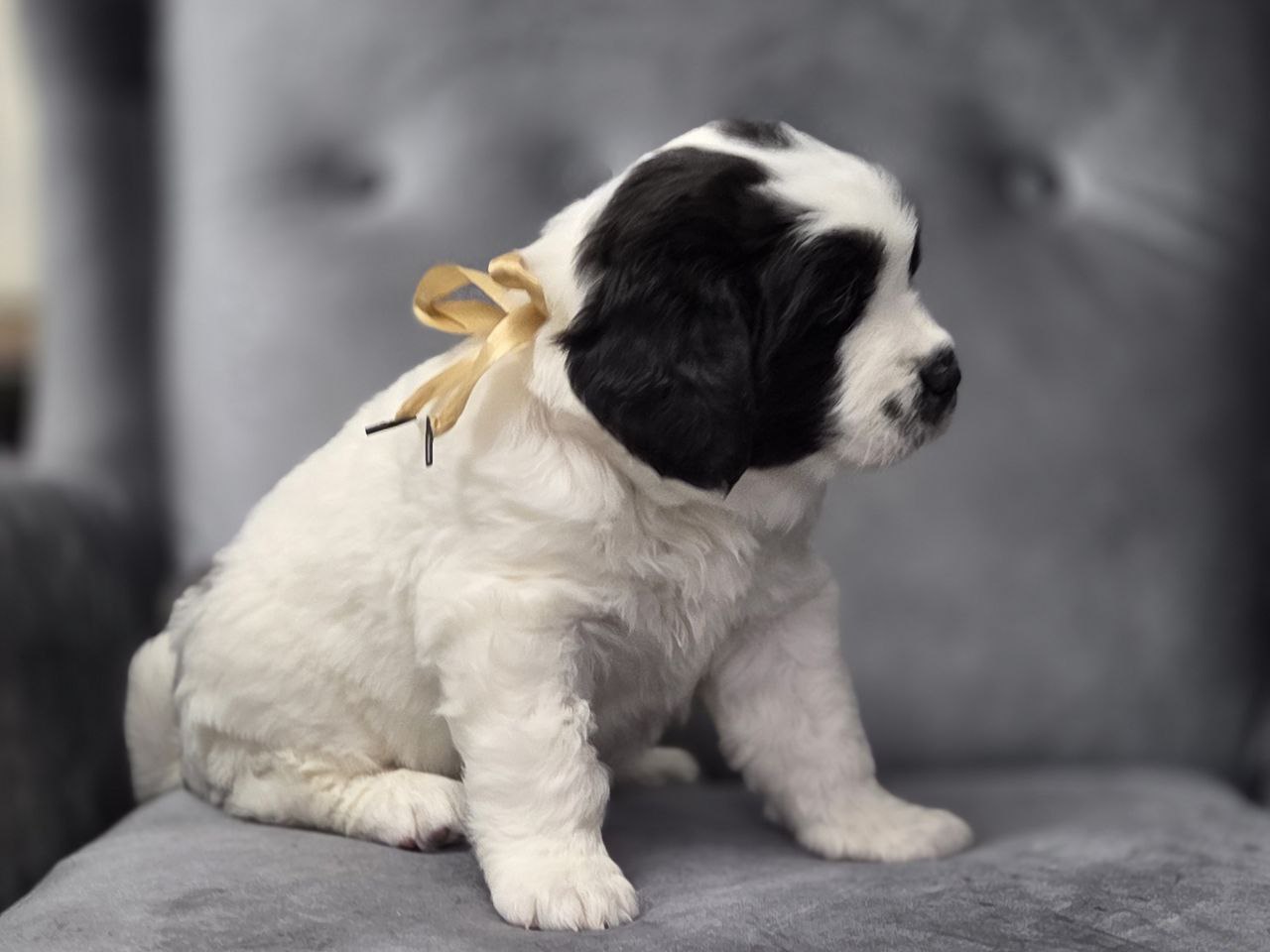 IMG_20260305_103651_012