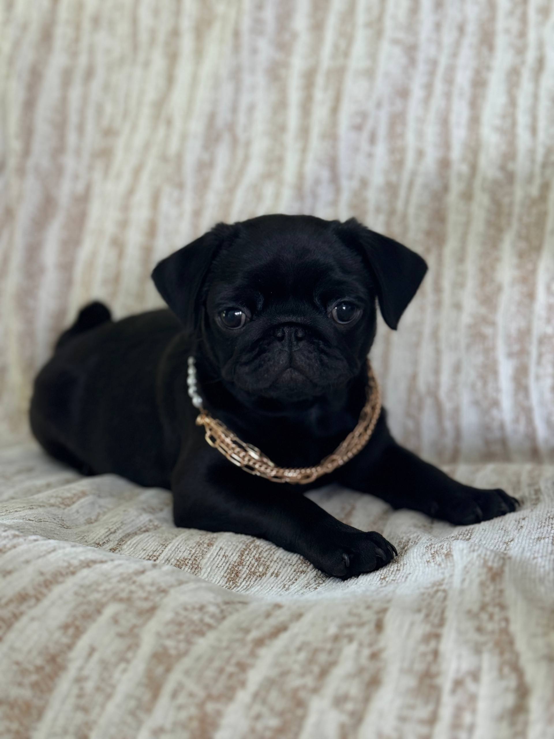 IMG_20260311_164858_317