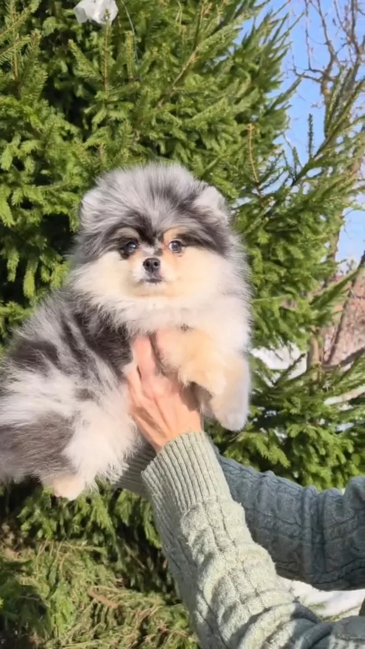 IMG_20260314_033455_246