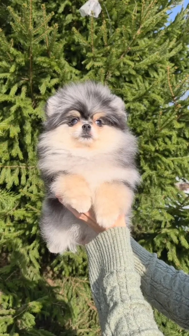 IMG_20260314_033511_768