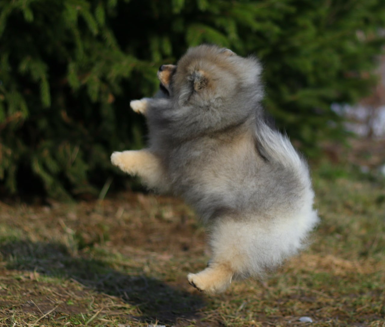 IMG_20260325_014953_322