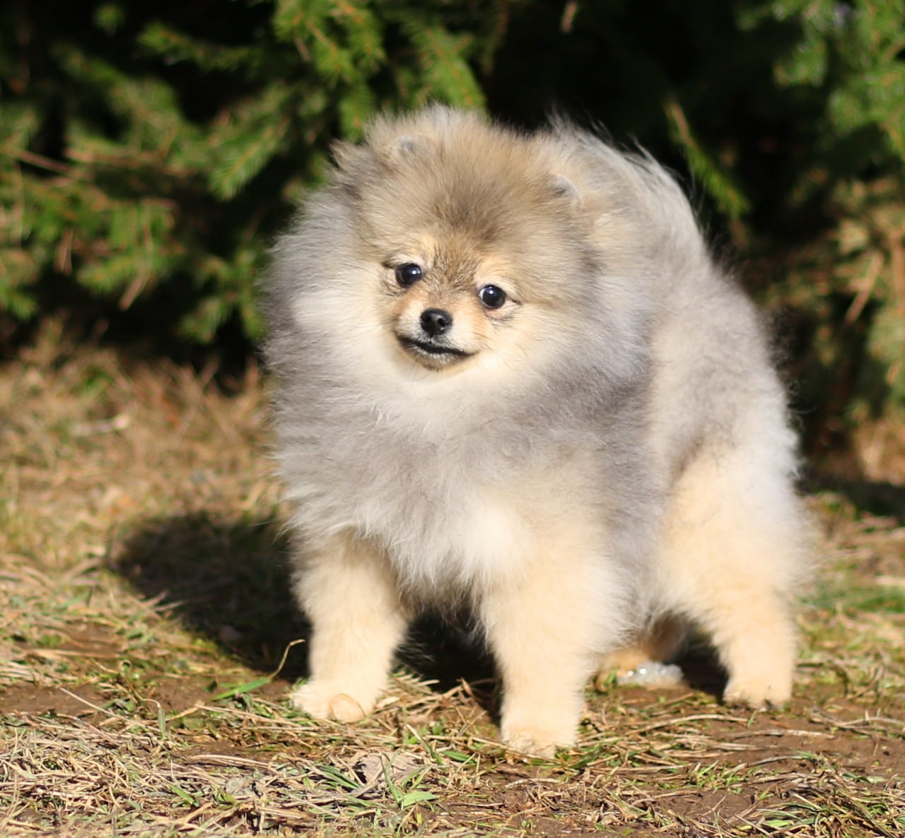 IMG_20260325_015025_244