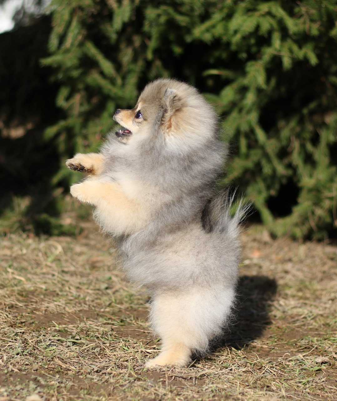 IMG_20260325_015032_678