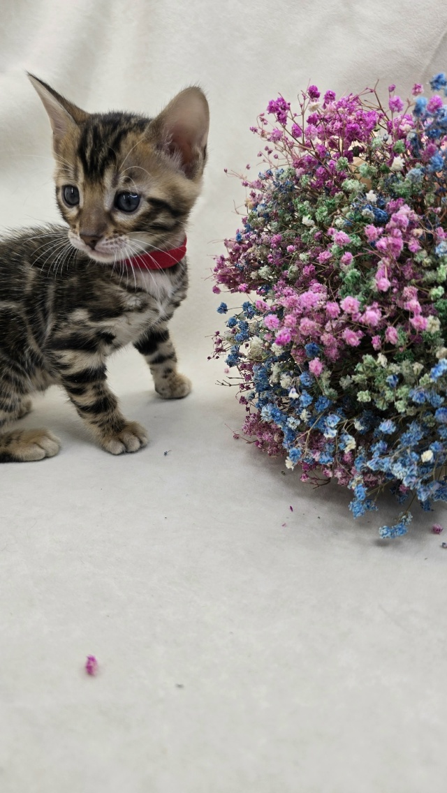 Kjezme0IgU_oFrQ34x_Q9DtXreyCX8UWd3huFXsqzZNvCW_w4Fu4BKIjMSzYWd3AnJo3oRoed4whao4O_XKFqSpa