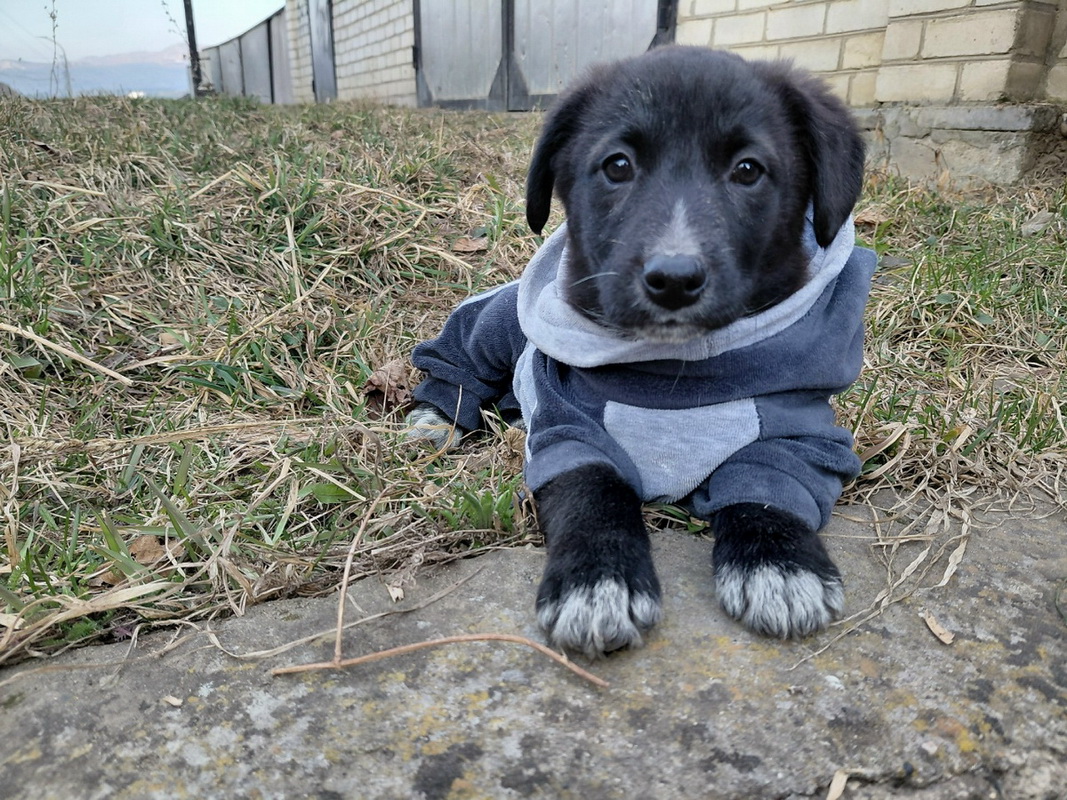 NPfEj_78-jWK05OWk2Mj9rB9l4teweofKG-CzA4ROJy4G1C89AEtw4YrethM8gVVSBfPfKYCYoNQF_HQnJ1EyzS-1