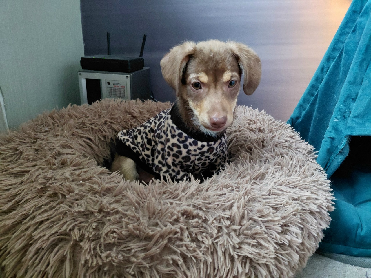 NmpteaGeTkhxFQs6AgNJMTYjNZ9DnO3lYUl-9j8ao-7vqaZp8gFP4nB8LrnAZvqjZDd7jvz6g25IJKUlnaOnnoNx