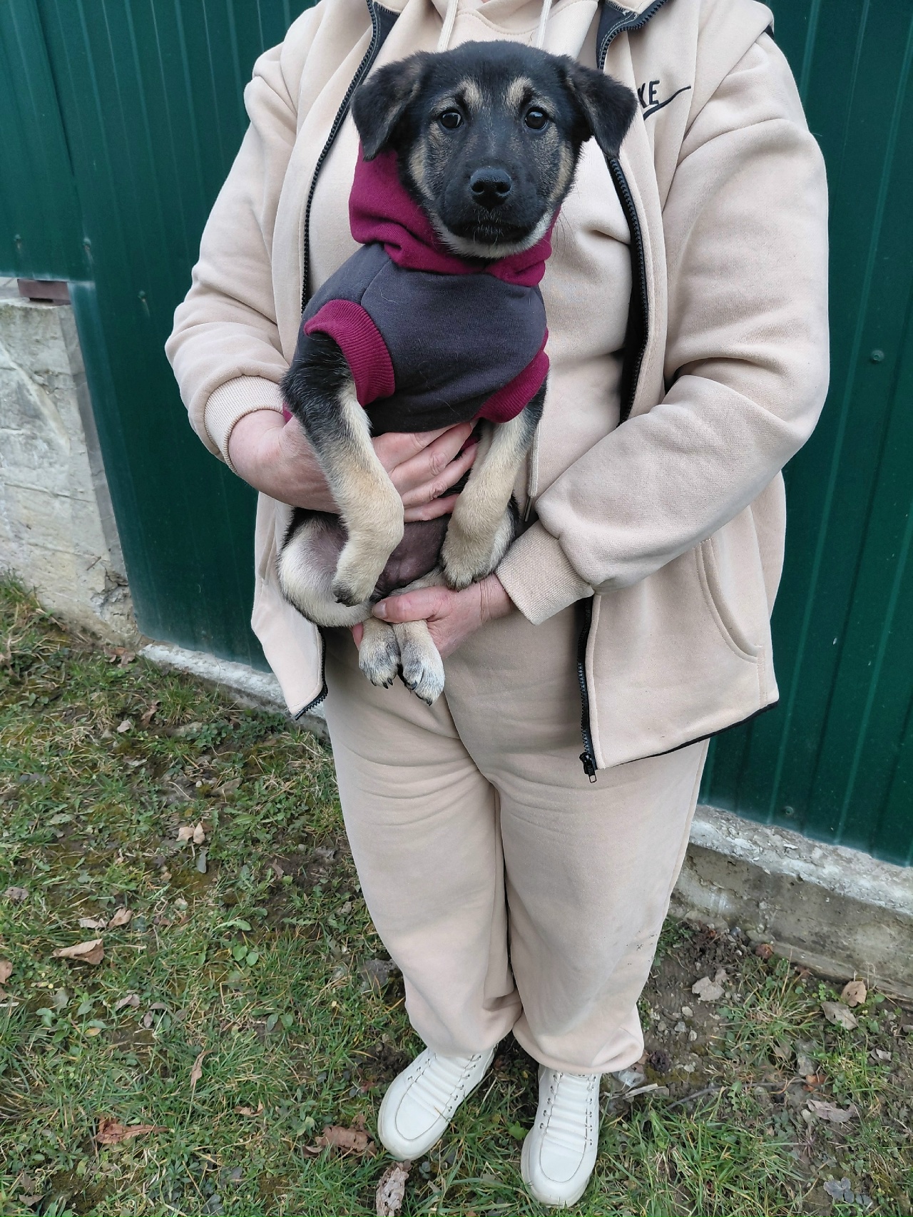 PojAm7eZ2-Lr8-Qvy4yugtLtrkD-FDNST9zWockpHPXPvgeRRFJ-9mf7LnB6EqMX-G1bF0KqX7QcyKKmWnnBiVg0