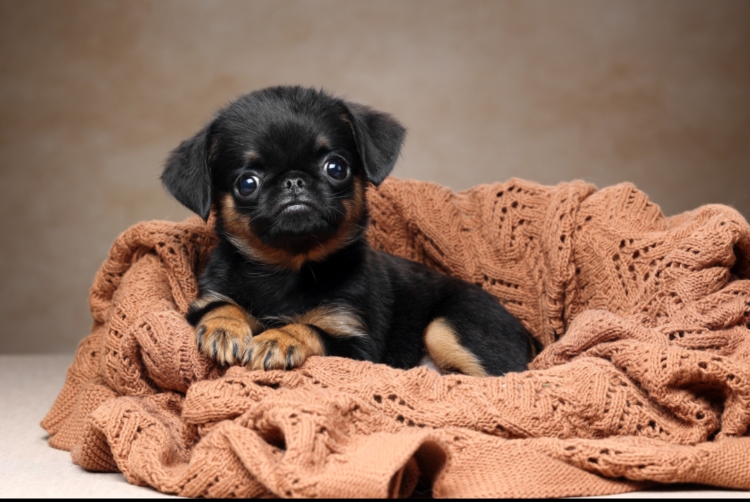 Screenshot_2026-03-15-11-11-40-929-edit_com.vkontakte.android