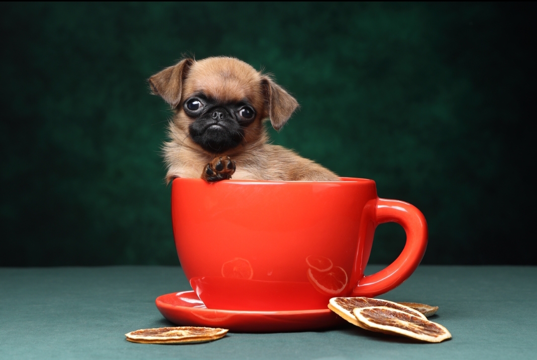 Screenshot_2026-03-17-00-46-32-375-edit_com.vkontakte.android