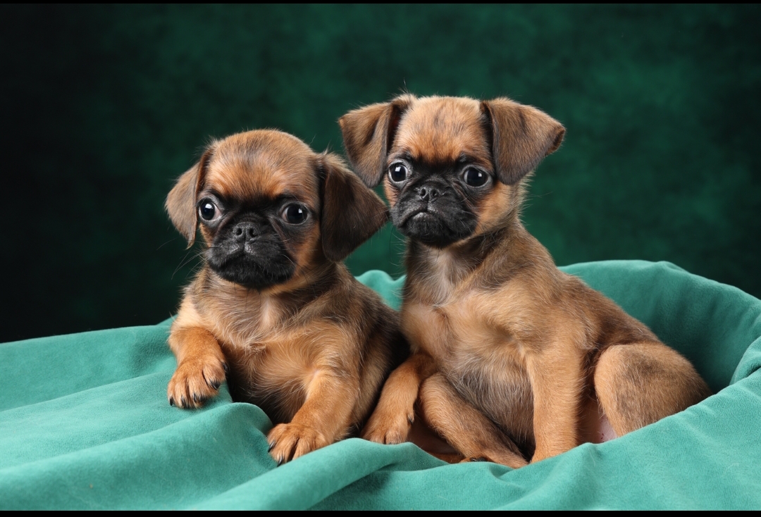 Screenshot_2026-03-19-22-48-38-386-edit_com.vkontakte.android