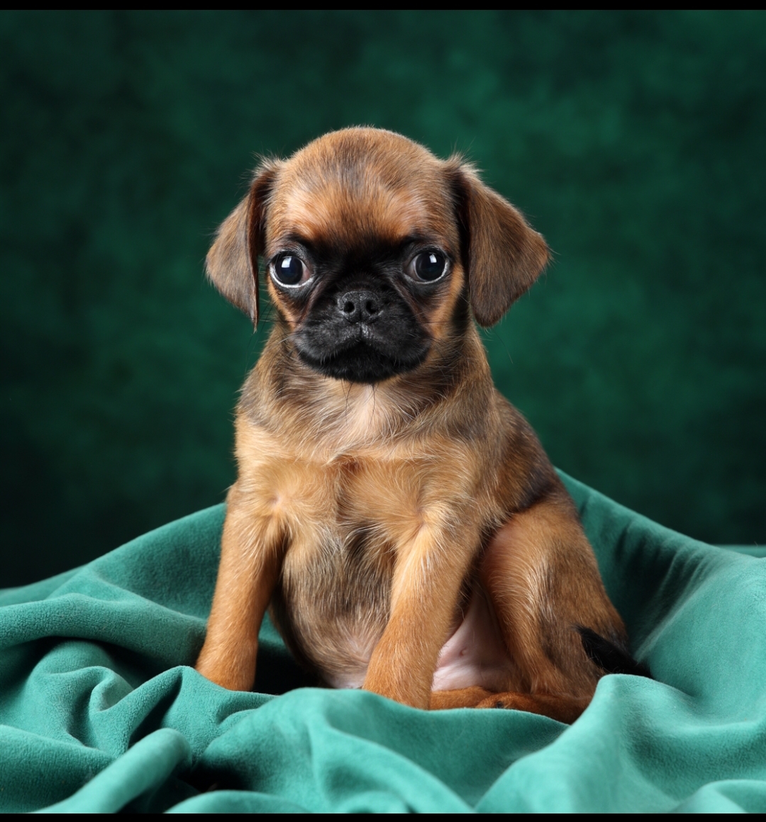 Screenshot_2026-03-19-23-20-51-739-edit_com.vkontakte.android