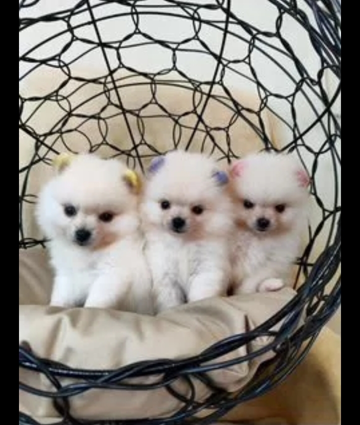 Screenshot_20260318-181030